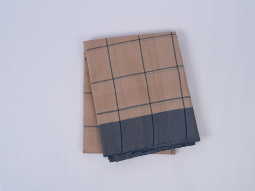 beige and blue checked Godavari cotton saree