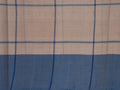 beige and blue checked Godavari cotton saree