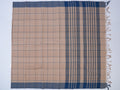 beige and blue checked Godavari cotton saree