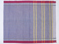 blue checked Narayanpet cotton saree