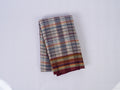 white and purple Narayanpet cotton saree with multicolor horizontal stripes